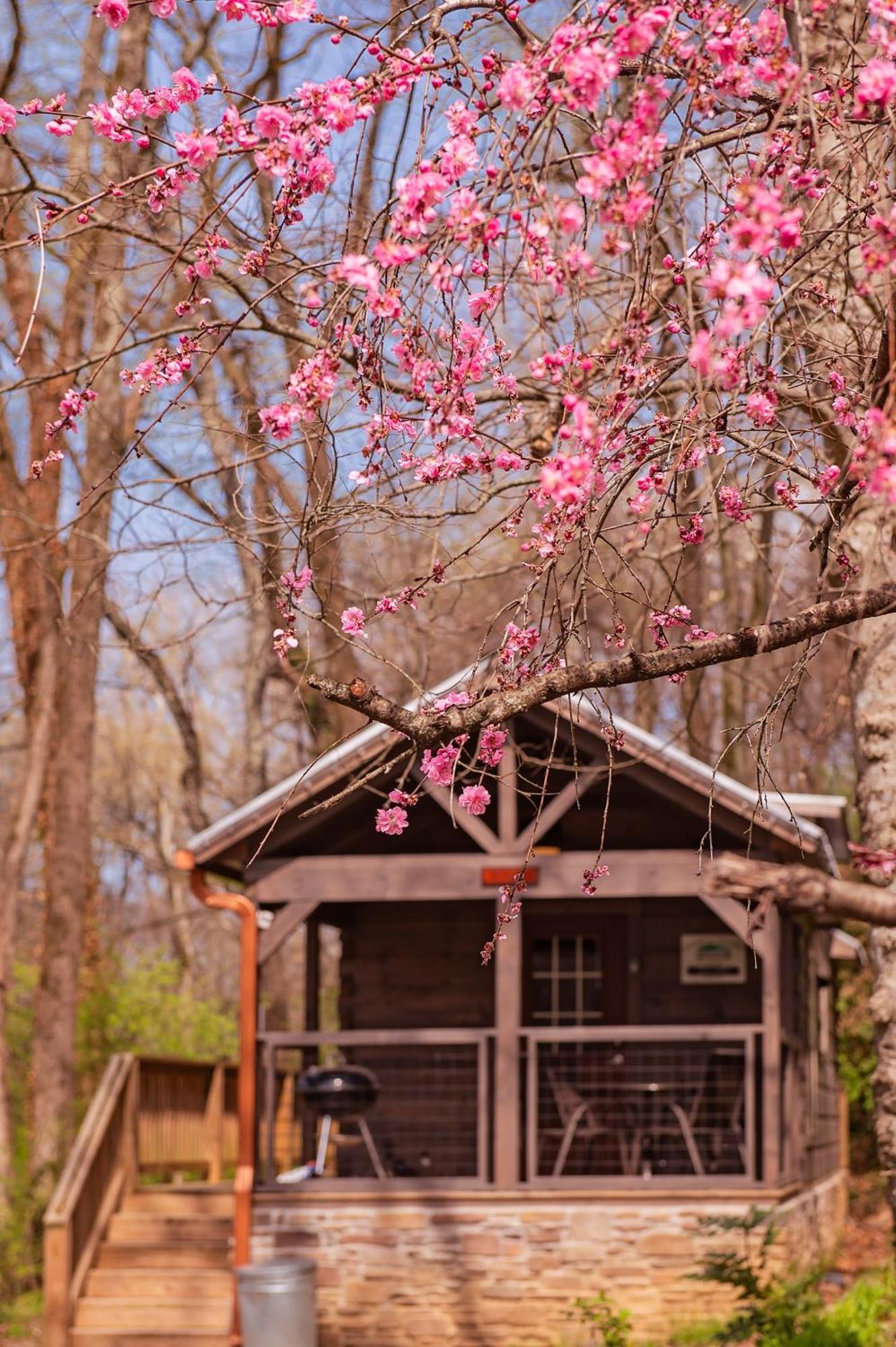 Ryon Tiny Home Cabin City-Side Rustic Retreat Chattanooga Dış mekan fotoğraf